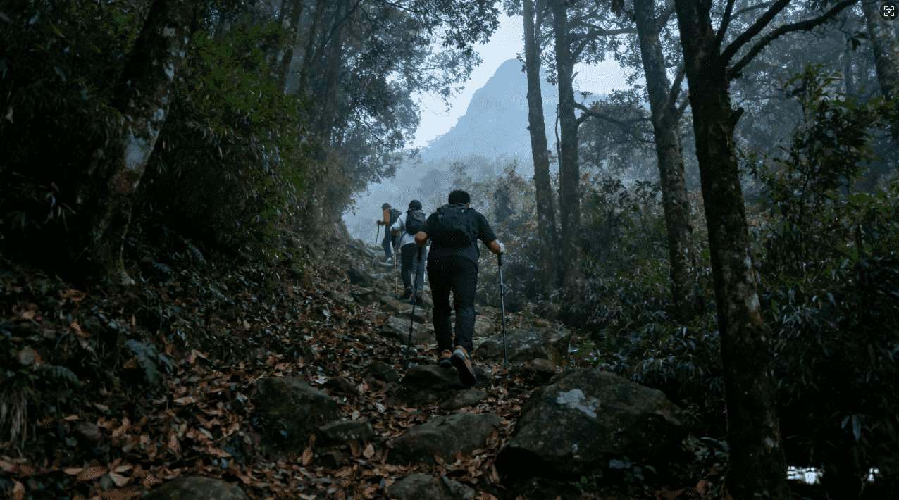 加速器快喵：助力您的项目快速腾飞与成长